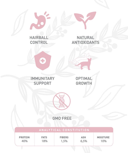 Weego Chicken & Eggs - Gatinhos