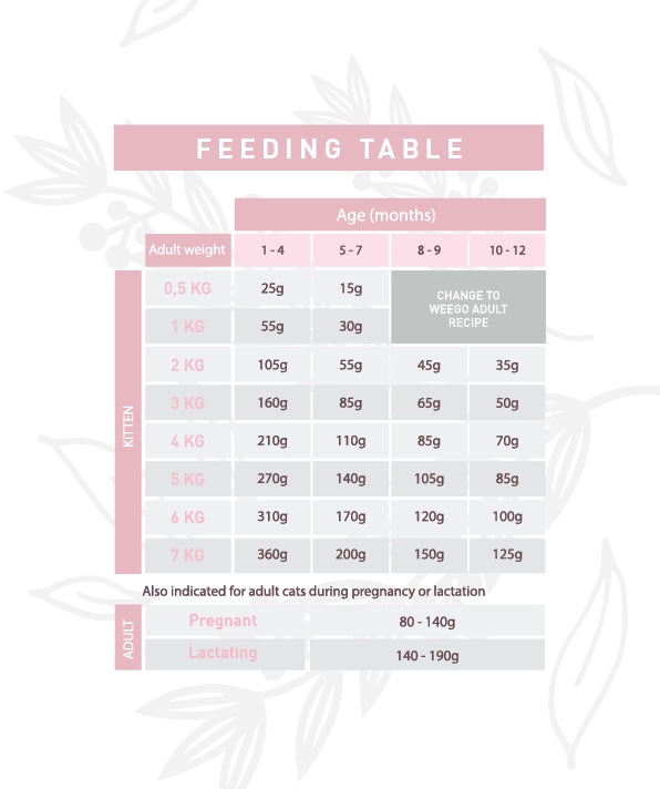 Weego Chicken & Eggs - Gatinhos