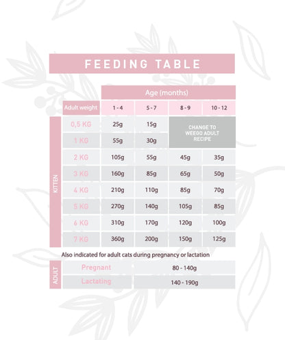 Weego Chicken & Eggs - Gatinhos