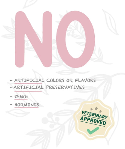 Weego Chicken & Eggs - Gatinhos