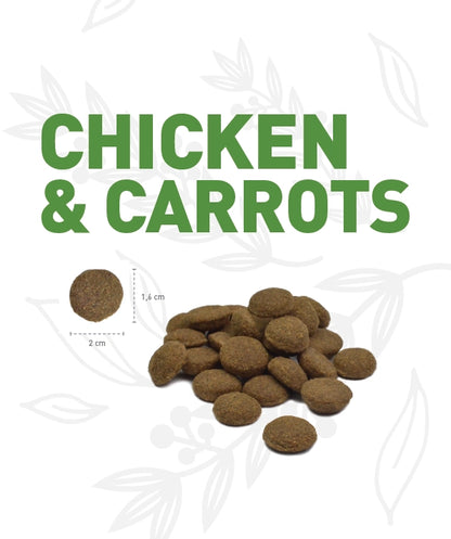 Weego Galinha e Cenouras - Cães Adultos