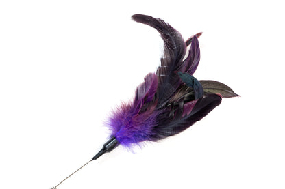 Cana com penas para gatos - Glória