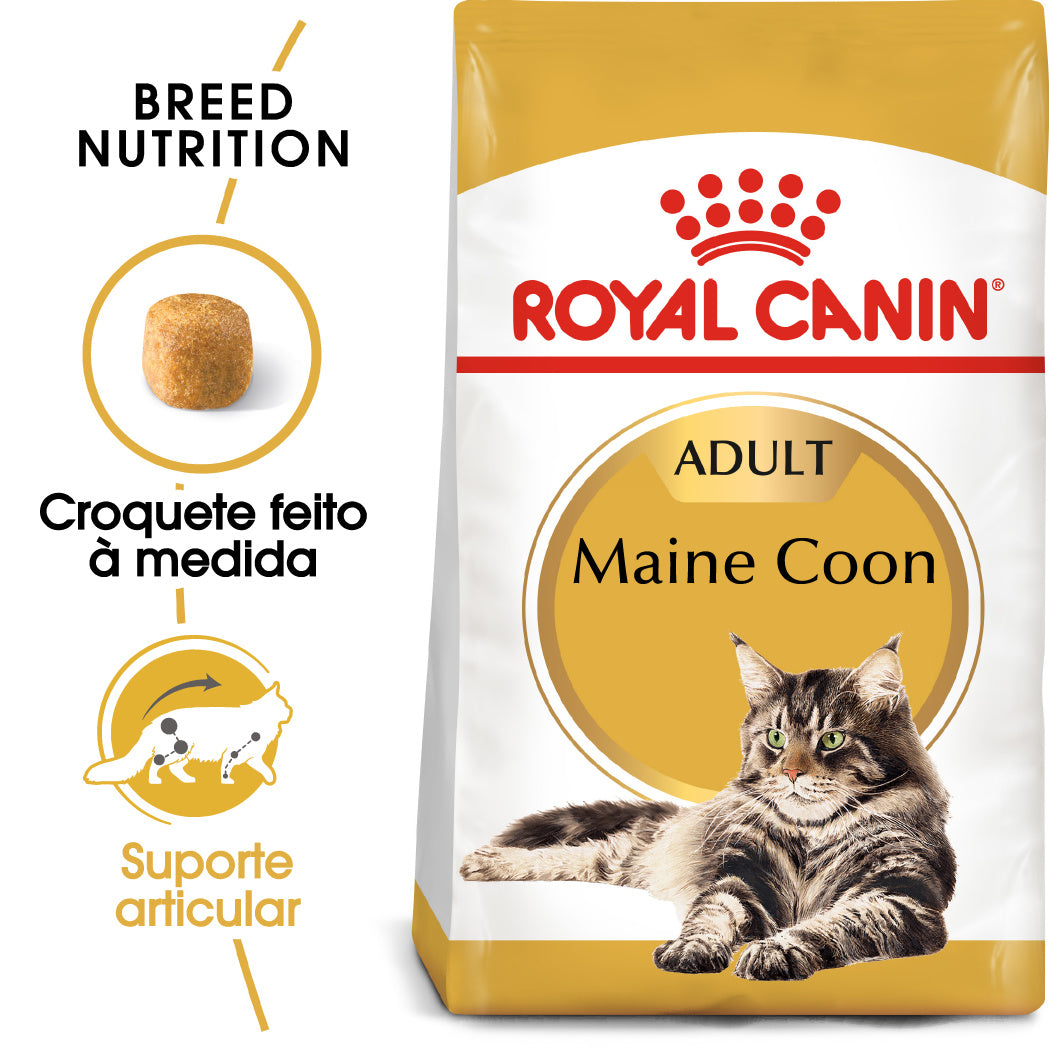 Royal Canin Maine Coon - Ração seca para gatos de raça