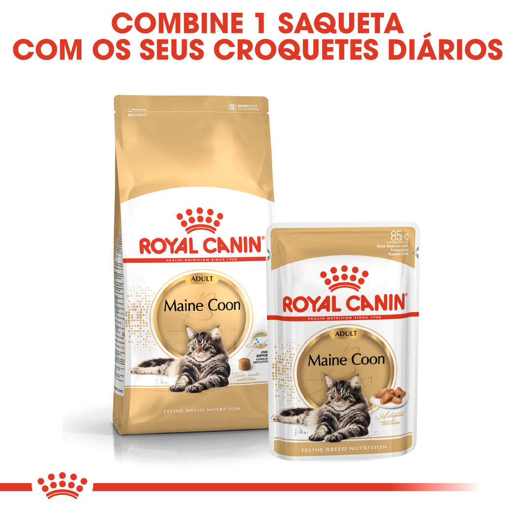 Royal Canin Maine Coon - Ração seca para gatos de raça