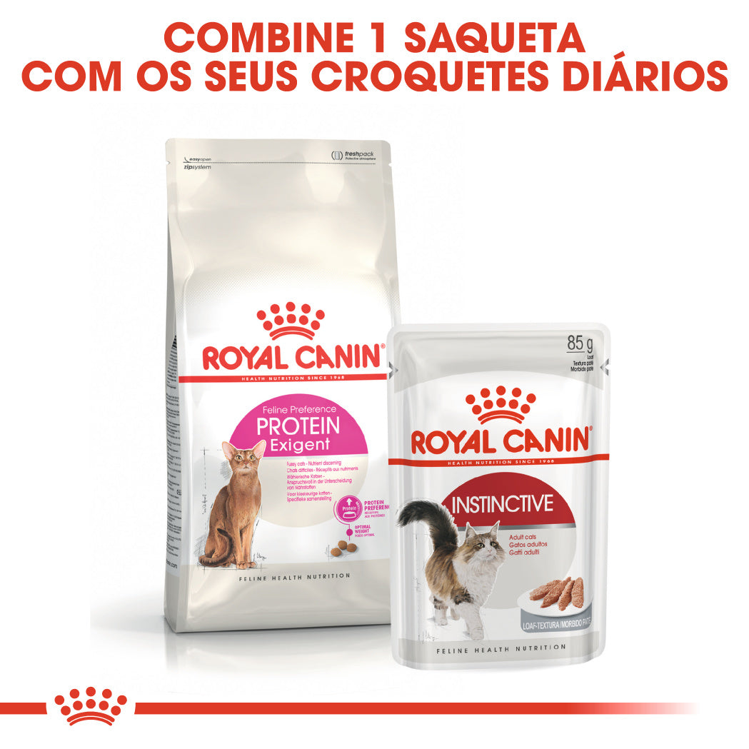 Royal Canin Protein Exigent - Ração seca para gatos exigentes