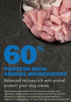 ACANA Adult Dog Recipe - Ração Seca para cães adultos