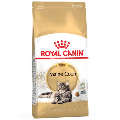 Royal Canin Maine Coon - Ração seca para gatos de raça