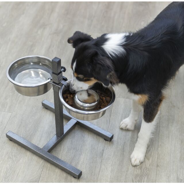 Comedouro e Bebedouro - Suporte duplo em inox ajustável