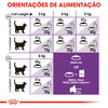 Royal Canin Sensible 33 - Ração seca para gatos com sensibilidade digestiva