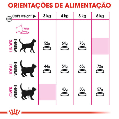 Royal Canin Aroma Exigent - Ração seca para gatos exigentes