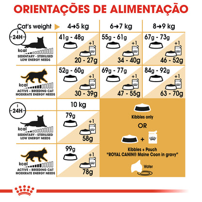 Royal Canin Maine Coon - Ração seca para gatos de raça
