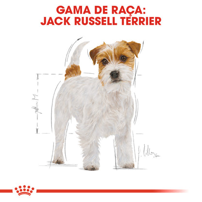 Royal Canin Jack Russel Terrier Adult - Ração seca para cão de raça