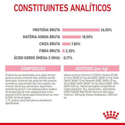 Royal Canin Kitten - Ração seca para gatinhos