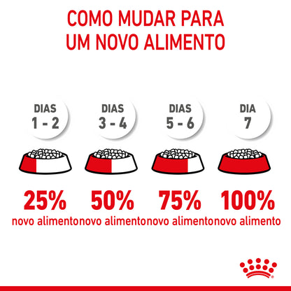 Royal Canin Kitten - Ração seca para gatinhos