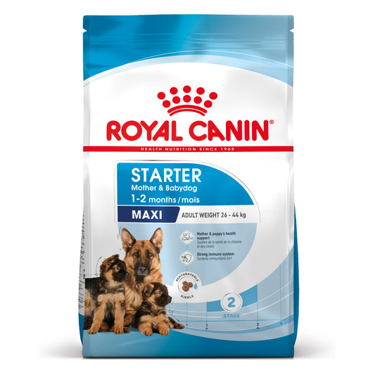 Royal Canin Starter Mother & Babydog Maxi - Ração seca para cadelas gestantes/lactantes e cachorros de porte grande até aos 2 meses