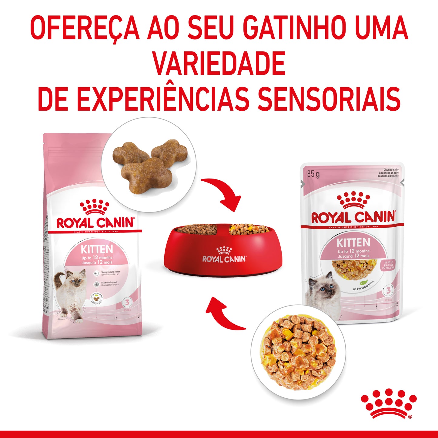 Royal Canin Kitten- Alimento húmido em geleia para gatinhos