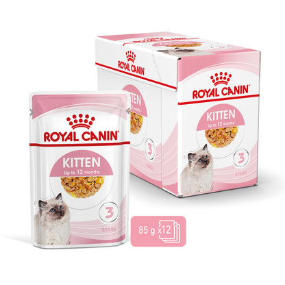 Royal Canin Kitten- Alimento húmido em geleia para gatinhos