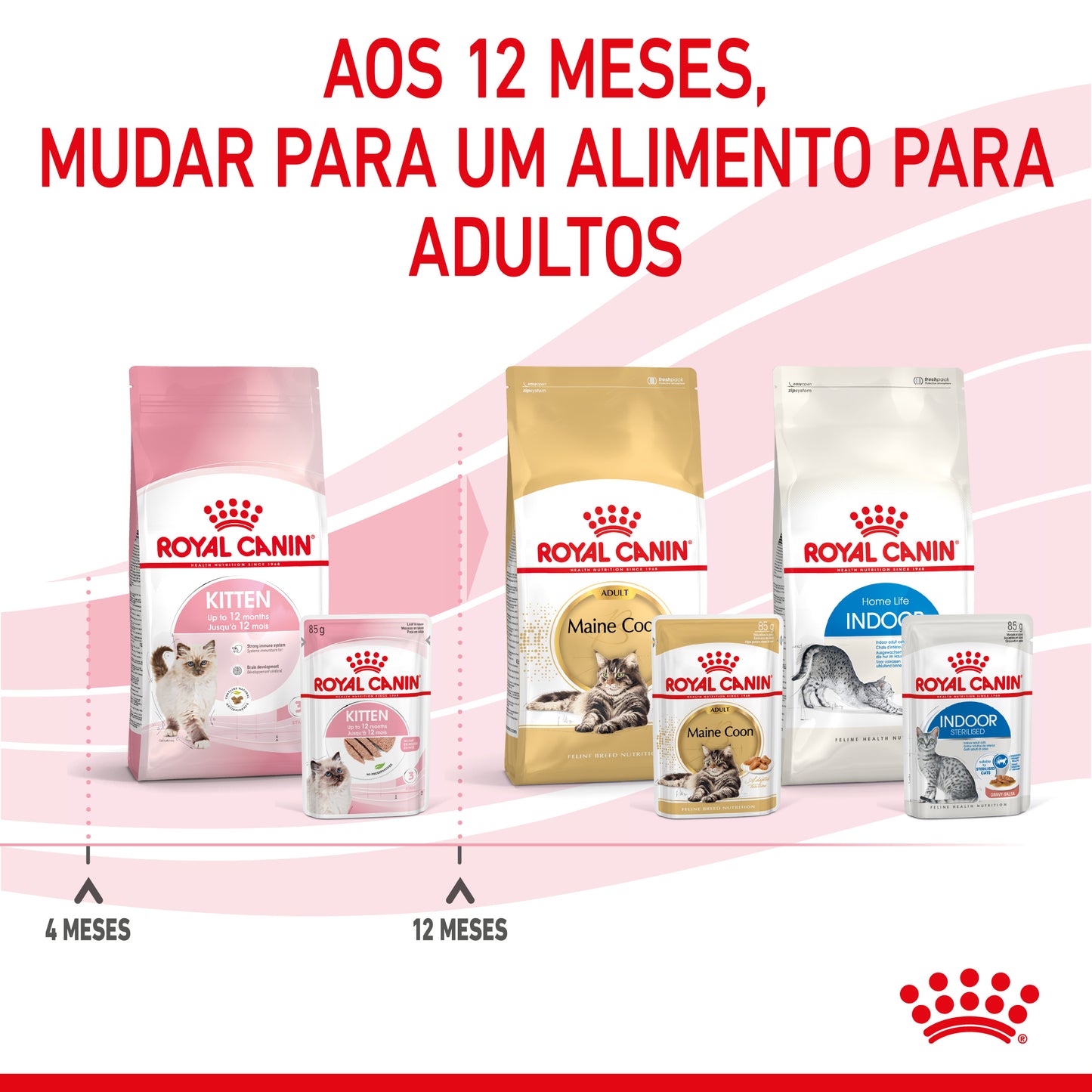 Royal Canin Kitten - Alimento húmido em patê para gatinhos