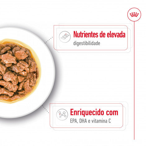 Royal Canin Adult X-Small - Alimento húmido para cão de porte muito pequeno