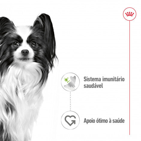 Royal Canin Adult X-Small - Alimento húmido para cão de porte muito pequeno