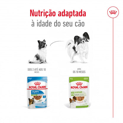 Royal Canin Adult X-Small - Alimento húmido para cão de porte muito pequeno