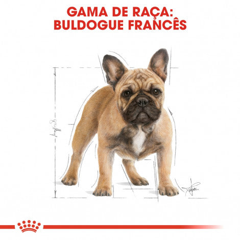 Royal Canin Bulldog Francês Adult - Ração seca para cão de raça