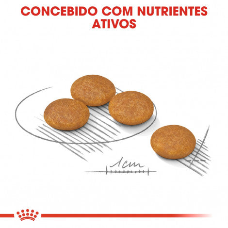 Royal Canin Dermacomfort Mini Adult - Ração seca para cão de porte pequeno com pele sensível