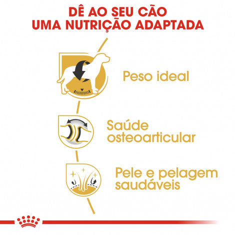 Royal Canin Labrador Retriever Adult - Ração seca para cão de raça