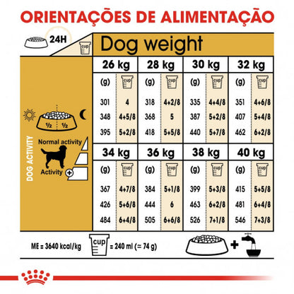 Royal Canin Labrador Retriever Adult - Ração seca para cão de raça