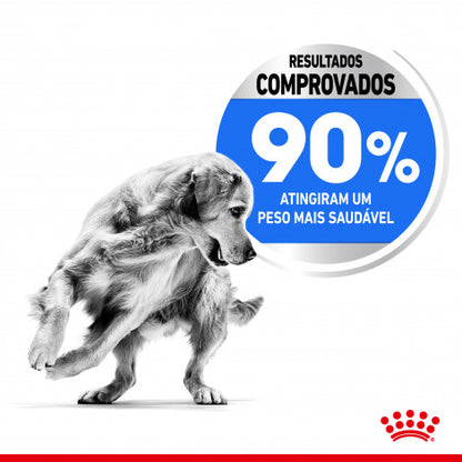 Royal Canin Light Weight Care Maxi Adult - Ração seca para cão de porte grande para controlo de peso