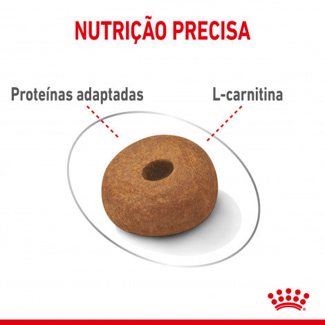 Royal Canin Light Weight Care Maxi Adult - Ração seca para cão de porte grande para controlo de peso
