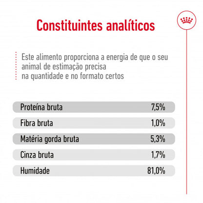 Royal Canin Maxi Adult - Alimento em molho para cão de porte grande