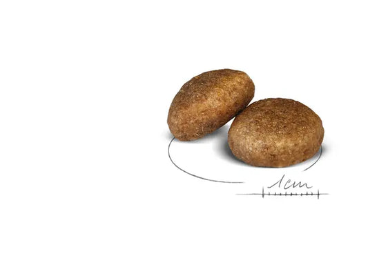 Royal Canin Maxi Adult - Ração seca para cão de porte grande