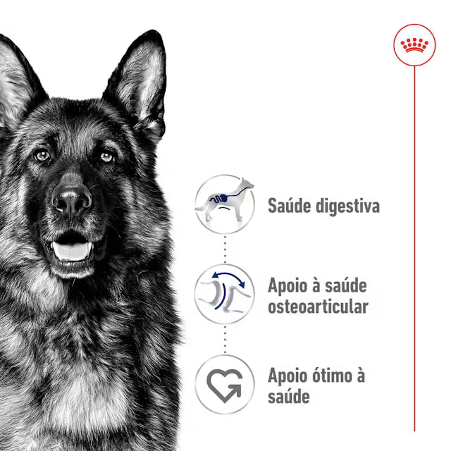 Royal Canin Maxi Adult - Ração seca para cão de porte grande