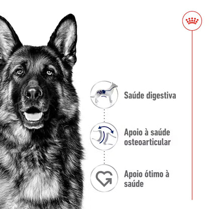 Royal Canin Maxi Adult - Ração seca para cão de porte grande