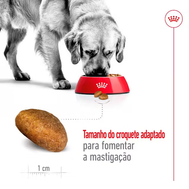 Royal Canin Maxi Adult - Ração seca para cão de porte grande