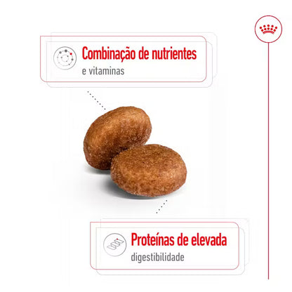 Royal Canin Maxi Adult 5+ - Ração seca para cão de porte grande com mais de 5 anos