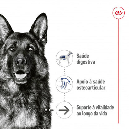 Royal Canin Maxi Ageing 5+ - Alimento húmido para cão de porte grande com mais de 5 anos