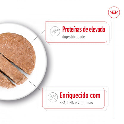 Royal Canin Maxi Ageing 5+ - Alimento húmido para cão de porte grande com mais de 5 anos