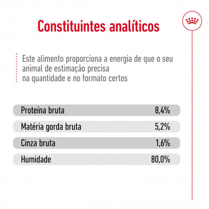 Royal Canin Maxi Ageing 5+ - Alimento húmido para cão de porte grande com mais de 5 anos
