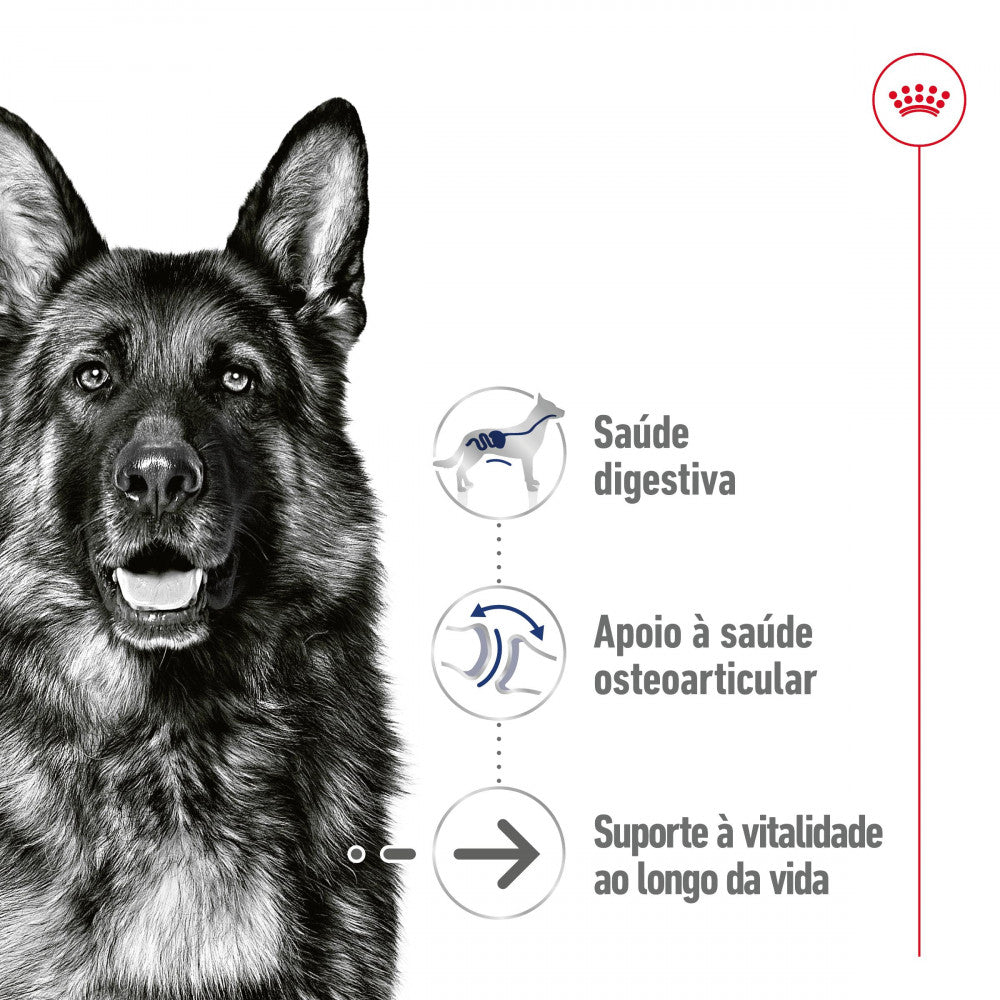 Royal Canin Maxi Ageing 8+ - Alimento húmido para cão de porte grande com mais de 8 anos