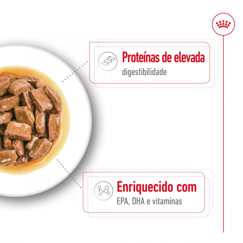 Royal Canin Maxi Ageing 8+ - Alimento húmido para cão de porte grande com mais de 8 anos