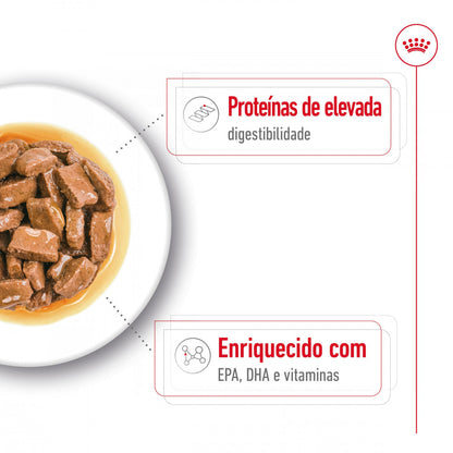 Royal Canin Maxi Ageing 8+ - Alimento húmido para cão de porte grande com mais de 8 anos