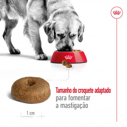Royal Canin Maxi Adult 8+ - Ração seca para cão de porte grande com mais de 8 anos