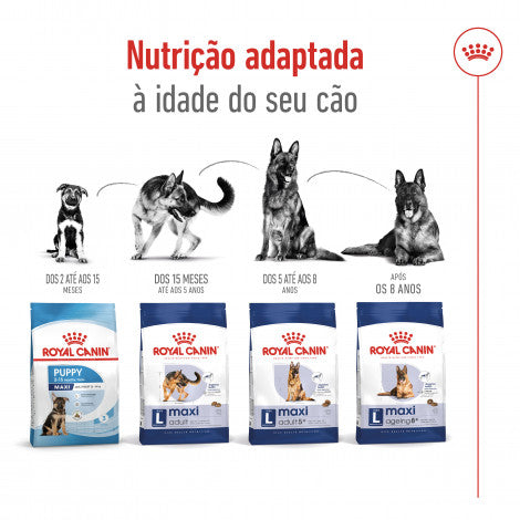 Royal Canin Maxi Adult 8+ - Ração seca para cão de porte grande com mais de 8 anos
