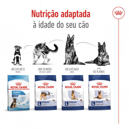 Royal Canin Maxi Adult 8+ - Ração seca para cão de porte grande com mais de 8 anos