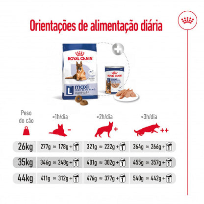 Royal Canin Maxi Adult 8+ - Ração seca para cão de porte grande com mais de 8 anos