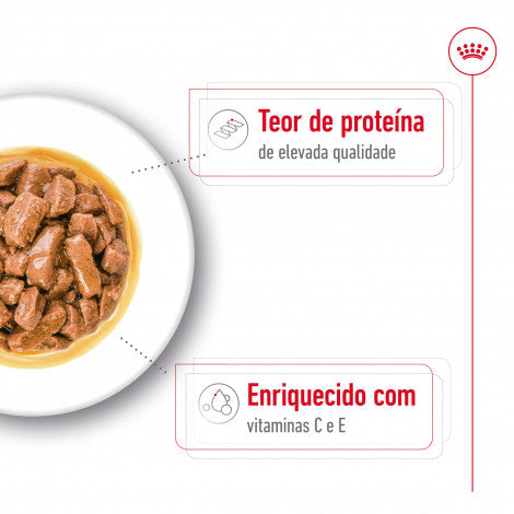 Royal Canin Medium Adulto - Alimentação húmida para cão de porte médio