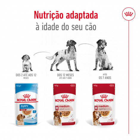Royal Canin Medium Adulto - Alimentação húmida para cão de porte médio