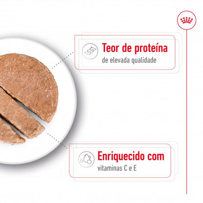 Royal Canin Medium Adult - Alimento húmido para cão de porte médio